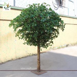 Wholesale UVG GRE024 Wholesale green artificial money tree plant for restaurant decoration 6ft high from china suppliers