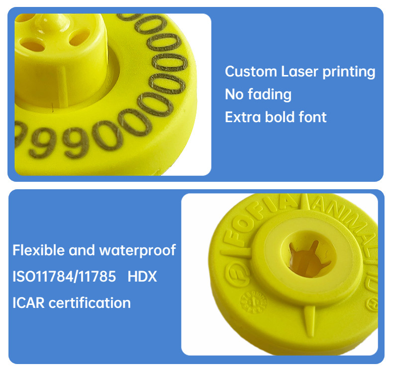 ISO11784/5 HDX Electronic Ear Tags Cattle Ear Tags The Ultimate Tool For Streamlined Livestock Identification
