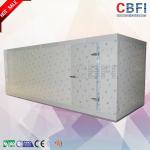 Integrated R404a Cold Storage Room , Low Temperature Cold Room Fresh Keeping