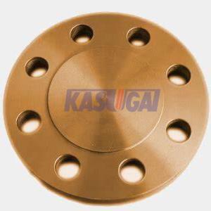 Wholesale BL Flat Face Blind Flange ASTM B151 C71500 Copper Nickel Pipe Fittings from china suppliers
