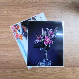 Wholesale 24&quot;X30m RC Photo Paper Roll from china suppliers