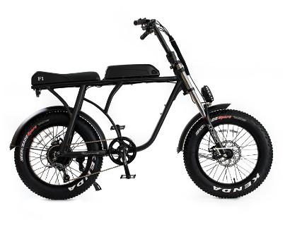 20" Fat Tire Electric Bike Beach Cruiser Snow Aluminum 36v 10ah 350w 8FUN