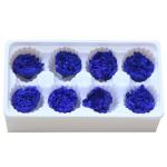 Factory Price Preserved Flowers Real Preserved Carnation For Mother
