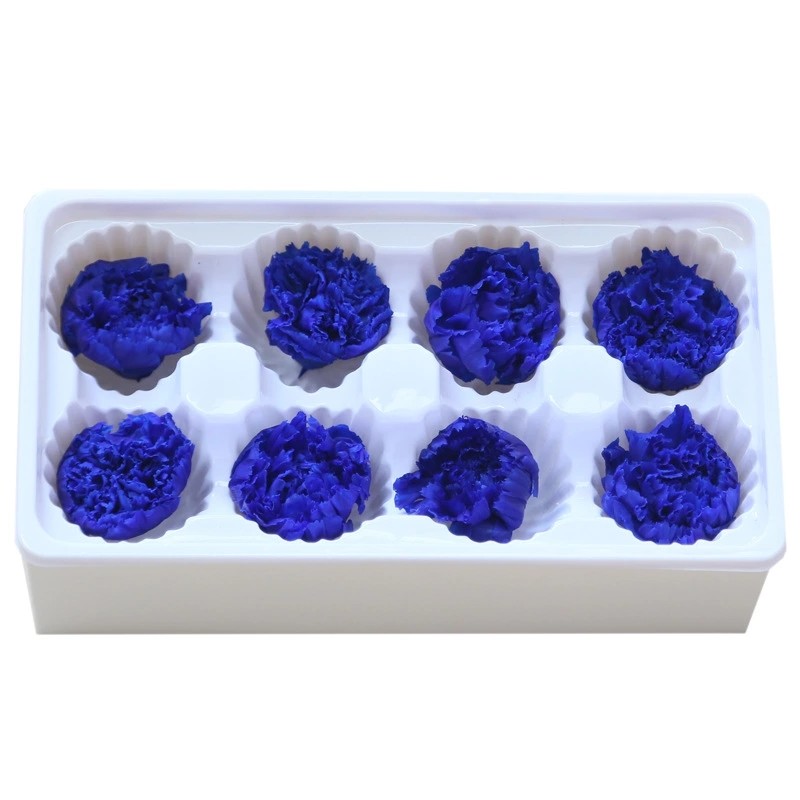 Factory Price Preserved Flowers Real Preserved Carnation For Mother