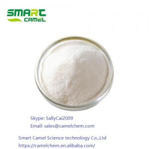 Wholesale Noopept,GVS-111 /   N-(1-(Phenylacetyl)-L-prolyl)glycine ethyl ester from china suppliers