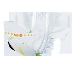 China suppliers baby products dry soft disposable baby diaper manufacturers in
