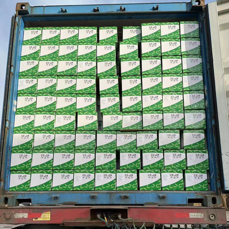 2023 Young garlic shoot garlic sprouts From china