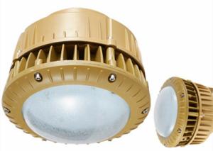 Wholesale 50w 200w Anti - Corrosion LED Lighting Fittings For Gas Station Flame Proof Light from china suppliers
