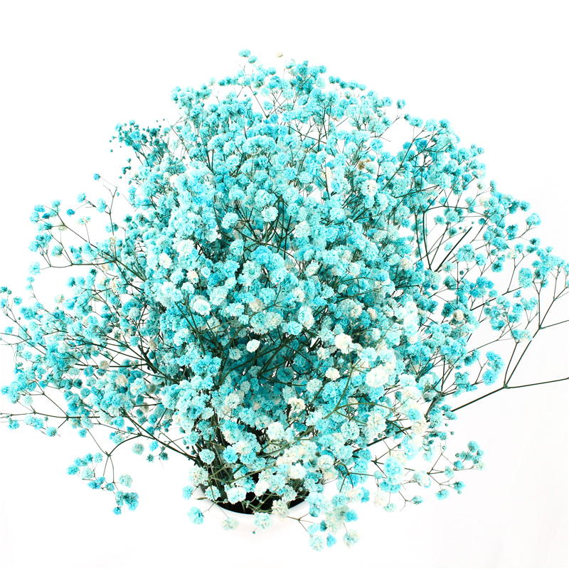 Home Decorations Beautiful Dried Flowers Gypsophila Long Term Storage