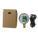 400 Bar 50mm Pressure Gauge Stairstep Signal CNG Cars Radial Pressure Gauge