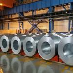 AISI Hot Dipped Galvanized Steel Coils Cold Rolled Dx51d Z275 2mm Zinc Coated