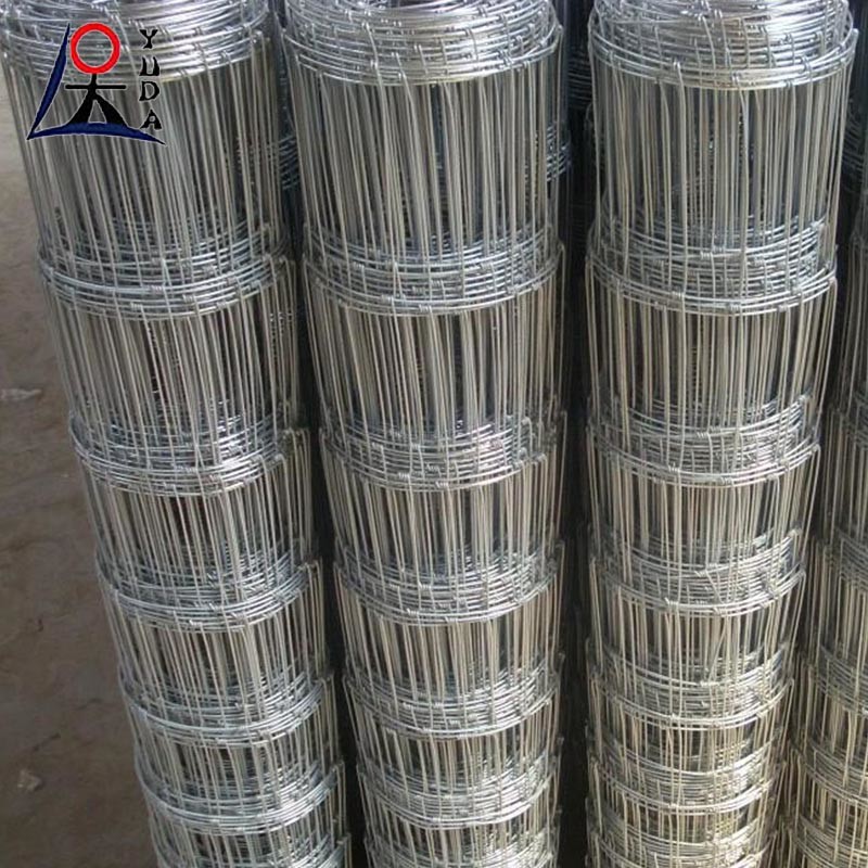 Fixed Knot Animal Farm Guard Woven High Tensile Metal Wire Netting