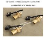 Fh-Cb/T3778-99 Bronze Weighted Lever Valve Sounding Self Closing Dn50 Sounding