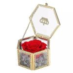 Wholesale preserved flower gift box Preserved Flowers Flower Crafts Preserved