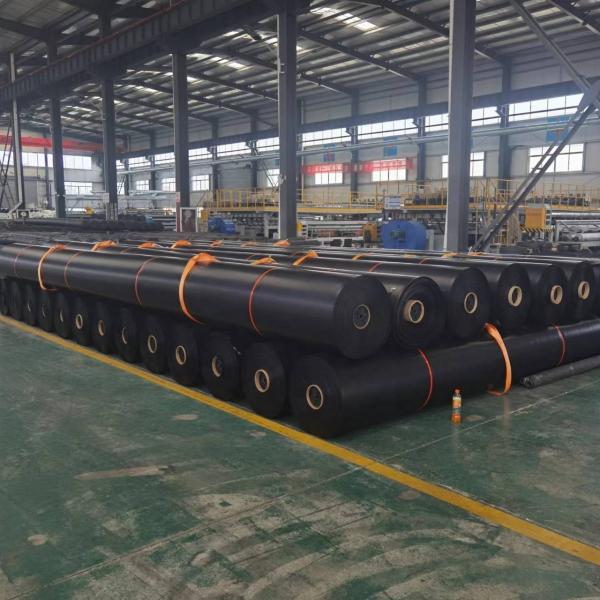 Pond Liner for Aquaculture 0.5mm/0.75mm HDPE Geomembranes in Black White Green