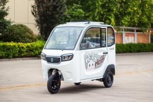 Wholesale 800W Passenger Electric Tricycle Adults Passenger 3 Wheel Electric Tricycle from china suppliers