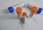 Purified Anti-Phencyclidine Mouse Monoclonal Antibody 1995mg / month