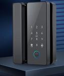 Smart WiFi Tuya Glass Door Lock Digital Fingerprint Electronic Password IC Card