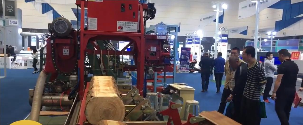 4000W Portable Wood Tree Slasher For Forestry Wood Cutting Chainsaw