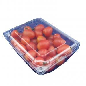 Wholesale Eco Friendly Disposable PET Fruit Plastic Packaging Boxes OEM from china suppliers