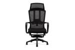DIOUS Black 2.5mm Mesh Staff Chair Comfortable With Footrest