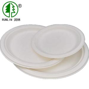 Wholesale BBQs Compostable White Eco Products Disposable Plates Made From Sugarcane Plates from china suppliers