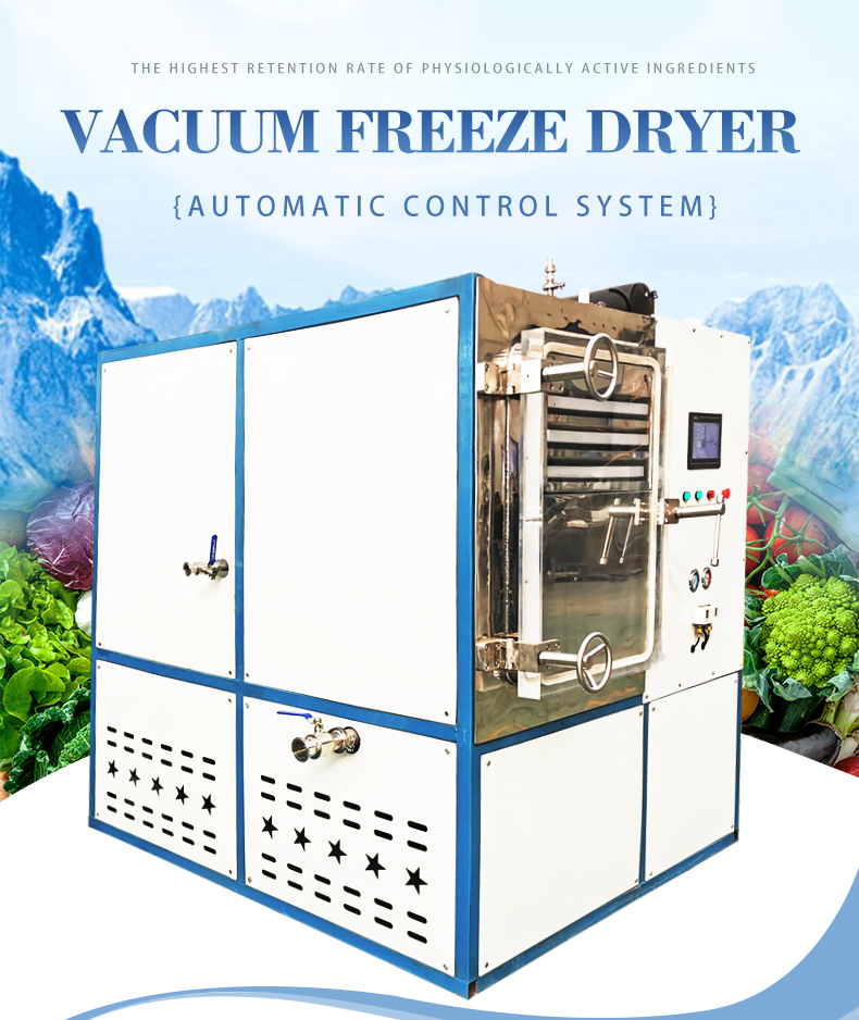 Coffee Drying Machine Home Freeze Dryer Easy Control 200kg/H Evaporation Capacity