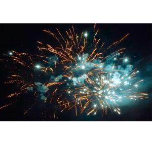 Wholesale Factory Wholesale Custom Fireworks Hot Selling High Quality 36 Shots Fan Shaped Wedding Party Festival 1.4G Cake Fireworks 2025 from china suppliers