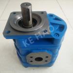CBGJ Single Pump Rhomb cover Flat key Blue Compact Original Gear Pump For