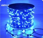 Christmas Tree Manufacturer IP65 LED String Lights 12V LED Clip Light for