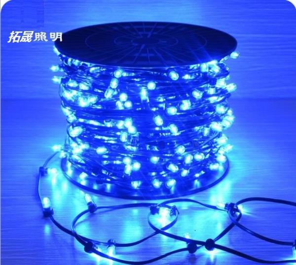 Christmas Tree Manufacturer IP65 LED String Lights 12V LED Clip Light for