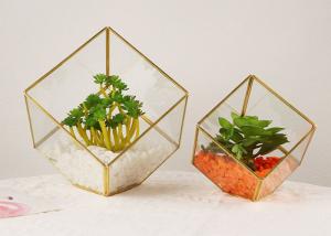 Wholesale Micro landscape glass artifact cover display box house succulent plant eternal flower box kids gift wholesale from china suppliers
