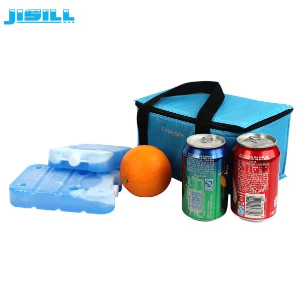 Portable reusable hardshell plastic durable insulation brick for ice cream cart For Food Frozen