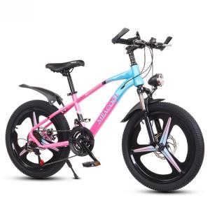 Wholesale Multicolored 20in Lightweight Mountain Bike For Children'S Outdoor Adventures from china suppliers