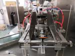 Automatic Premade Pouch Machine For Vegetable Fruit Frozen Fish Food 50Bags/Min