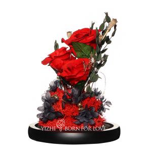 Wholesale Long Lasting red Preserved Rose Glass Dome in Valentine's Day from china suppliers