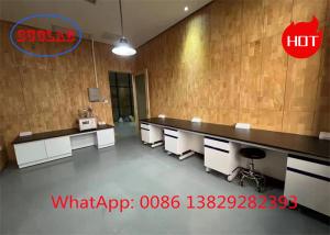 Wholesale Durable Chemistry Lab Workbench Chemistry Lab Workstation with Chemical Resistant Laminate Worktop from china suppliers
