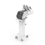 DM19-2 Ultrasonic Vacuum Cavitation Machine Weight Loss Fat Burning