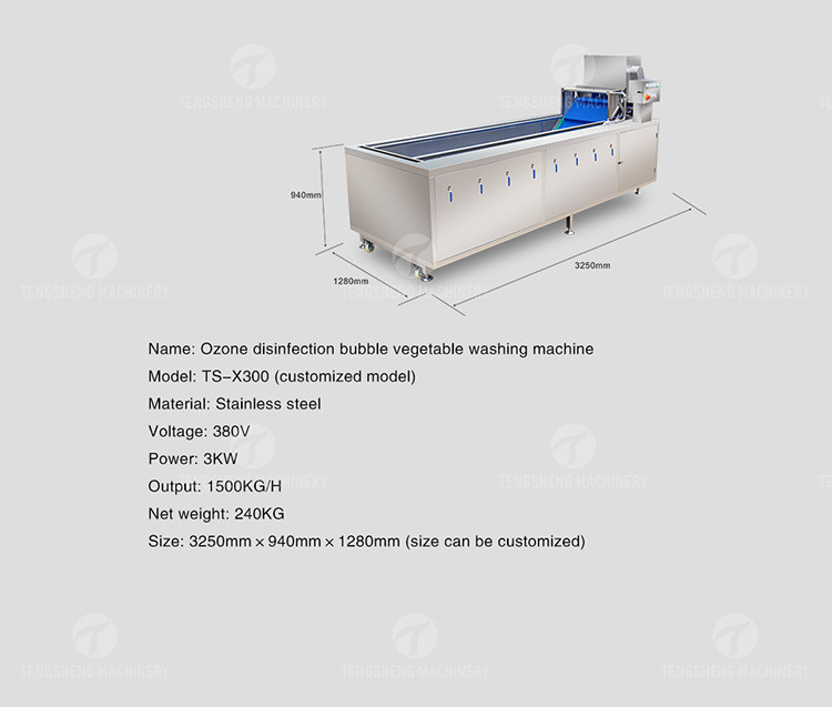 SS 380V Industrial Vegetable And Fruit Washing Machine
