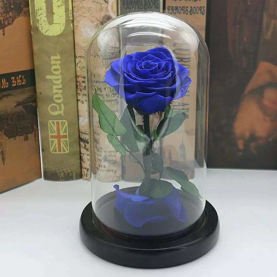 Preserved Rose Flower The Little Prince for Lasting Decoration