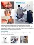 Revolutionary Double Handle Electric Magnetotherapy Massage Machine for Pain