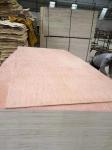 Alkaline Resistant WBP 22mm Hardwood Veneer Plywood