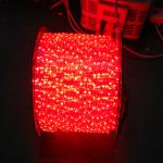 110V /220V led rope light