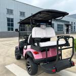 Eco-Friendly 4 Seater Golf Cart for Sustainable Business Practices
