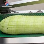 350KG 2.2KW Wax gourd peeling equipment manufacturers direct automatic