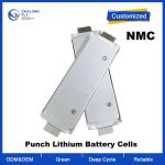 OEM ODM LiFePO4 lithium battery High Power 3.2V 3.7V 30ah Lithium Battery Pack