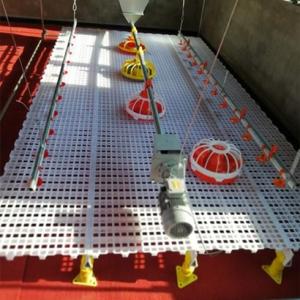 Wholesale Duck Broiler 100% PP UV Poultry Slat Flooring from china suppliers
