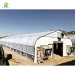 Hot Galvanized Steel Commercial Light Deprivation Greenhouse for Hemp Cultivatio
