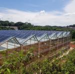 30 Days Return Refunds Double Layer PE/Po Plastic Film Photovoltaic Solar