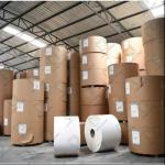 C1S Ivory Paper Board One Side Coated 300GSM Folding Box Board